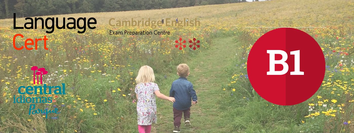 Intensivo B1 Guillermo